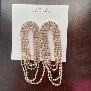 Statement earrings. NEW WITH TAGS! Never worn.